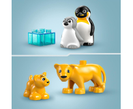 LEGO DUPLO 10442 Rodziny dzikich zwierząt pingwiny i lwy - 1299016 - zdjęcie 3